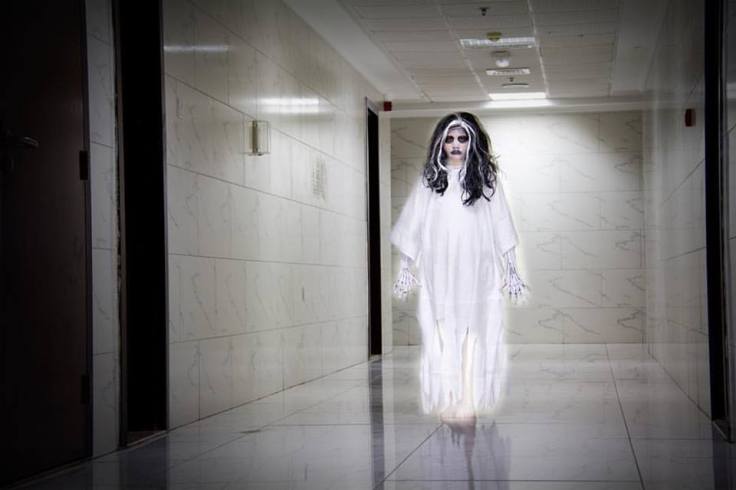 Halloween haunted halls