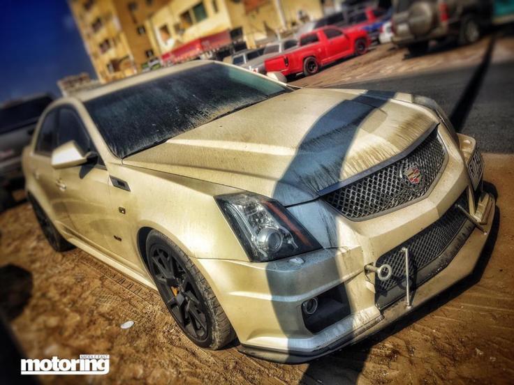 15871539_1302832729762965_8821356147200967259_n