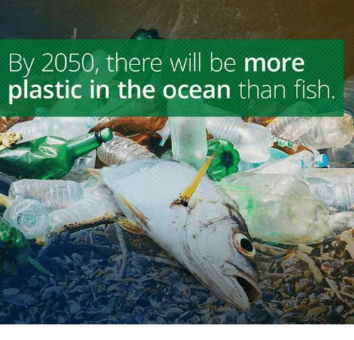 more plastic than fish